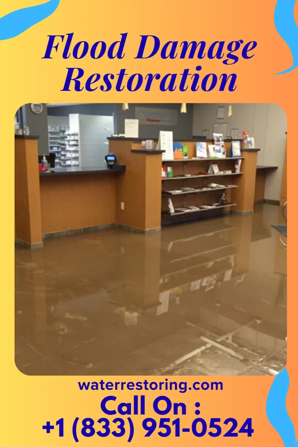 Flood Damage Restoration in Bruceville-Eddy, TX