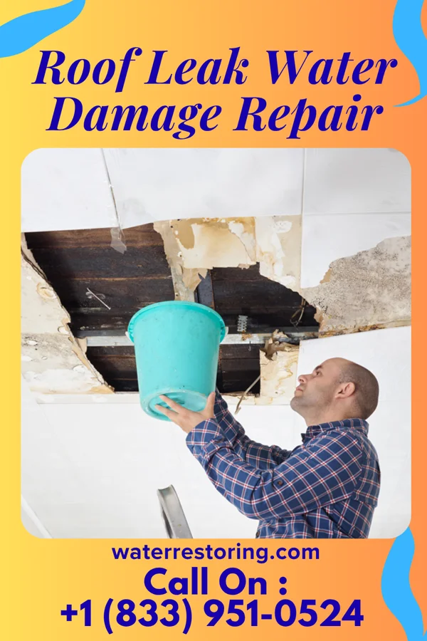 Roof Leak Water Damage Repair in Bruceville-Eddy, TX